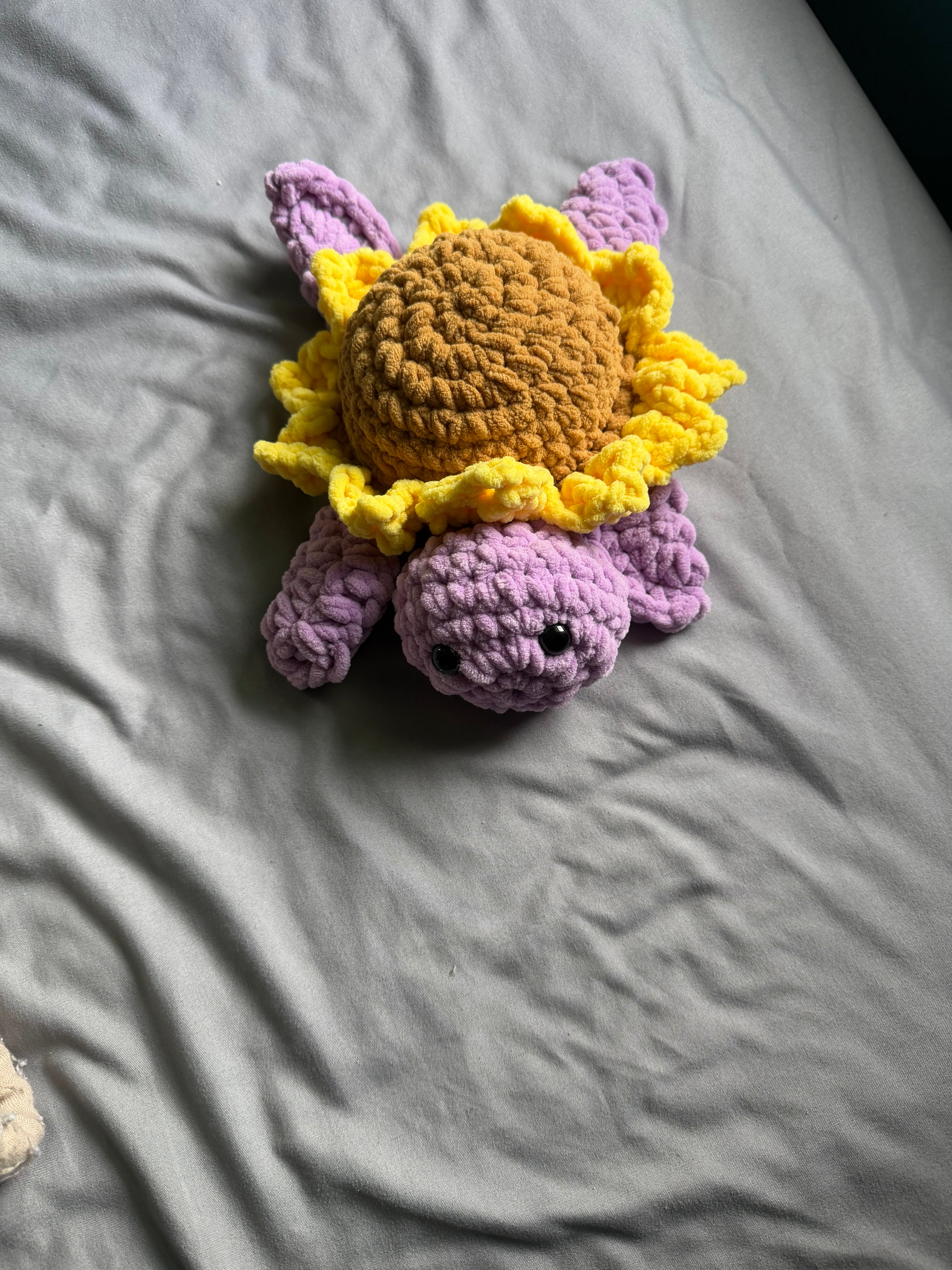Sunflower turtle