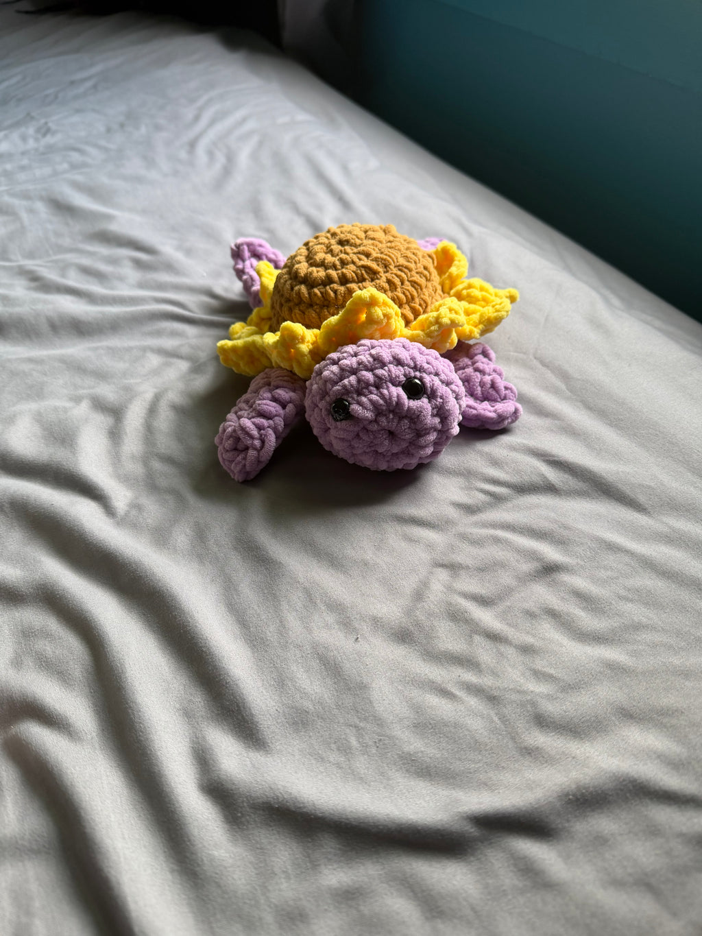 Sunflower turtle
